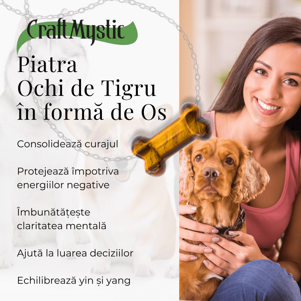 Figurina in Forma de Os din Cristale Naturale 30mm - Ochi de tigru