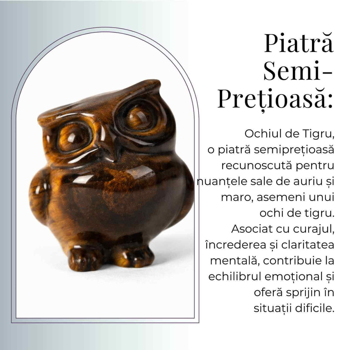 Bufnita Intelepciunii din Ochi de Tigru – Claritate Mentala si Protectie Spirituala