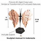 Fluture cu aripi din Crazy Lace Agat - Simbol al transformarii si frumusetii naturale