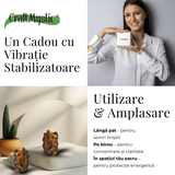 Pisicuta prosperitatii – Ochi de Tigru pentru Succes, Claritate si Protectie