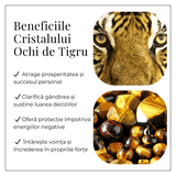 Urs Protector din Ochi de Tigru - Forta Interioara si Stabilitate Energetica