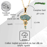 Claritate Mentala si Comunicare Autentica - Colier inox si pandantiv argint 925 placat cu aur de18k si Triplu Apatit