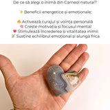 Inima din carneol - curaj in fiecare celula