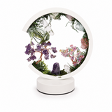 Lampa Rotunda cu Pietre Naturale – Armonie, Echilibru si Energie Pozitiva