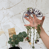 Dreamcatcher cu 7 tipuri de Cristale pentru cele 7 Chakre si Model Arborele Vietii