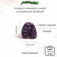 Geodă din Ametist – CraftMystic