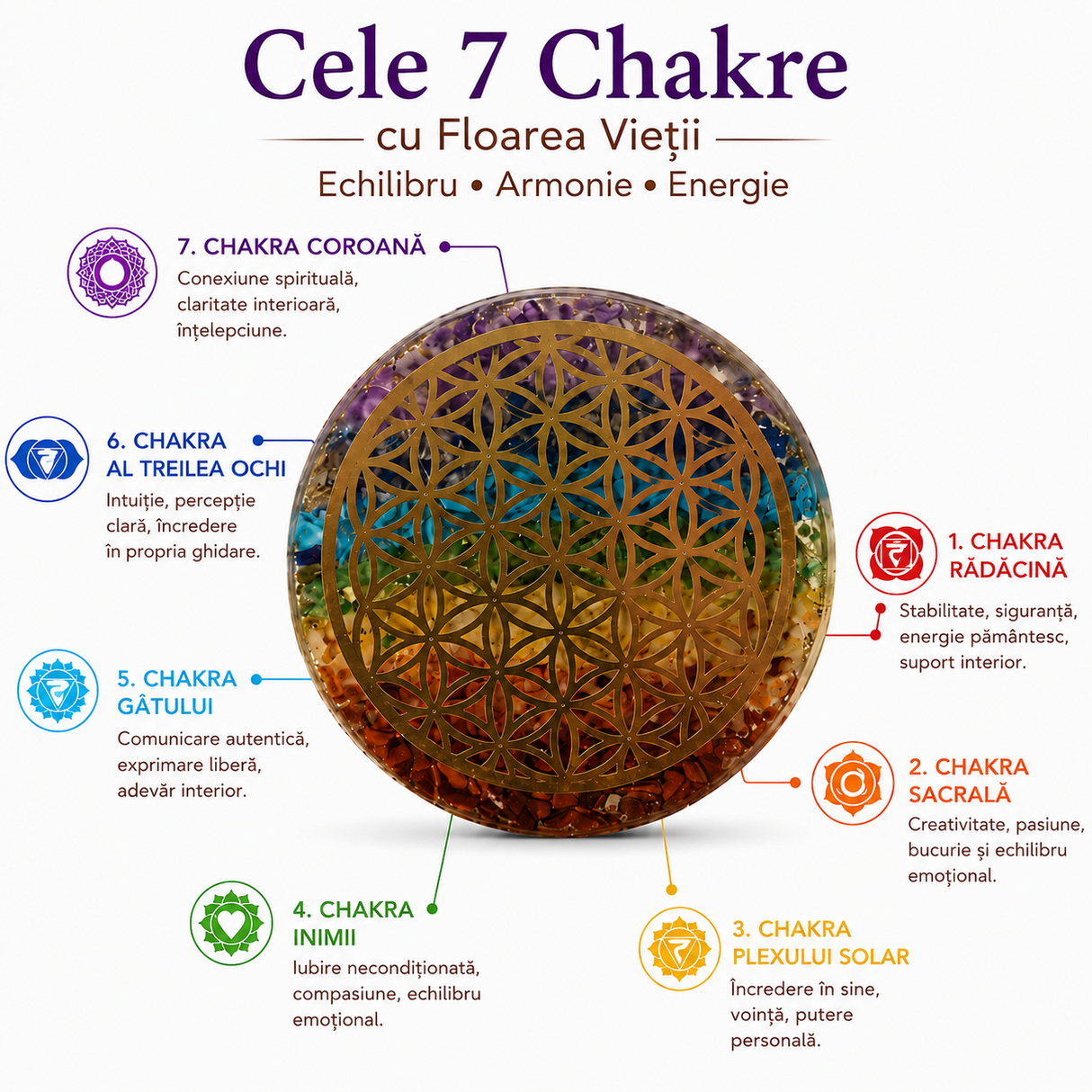Placa orgonica din Rasina cu Pietrele Celor 7 Chakre si Floarea Vietii – Echilibru si Armonie Energetica