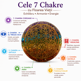 Placa orgonica din Rasina cu Pietrele Celor 7 Chakre si Floarea Vietii – Echilibru si Armonie Energetica