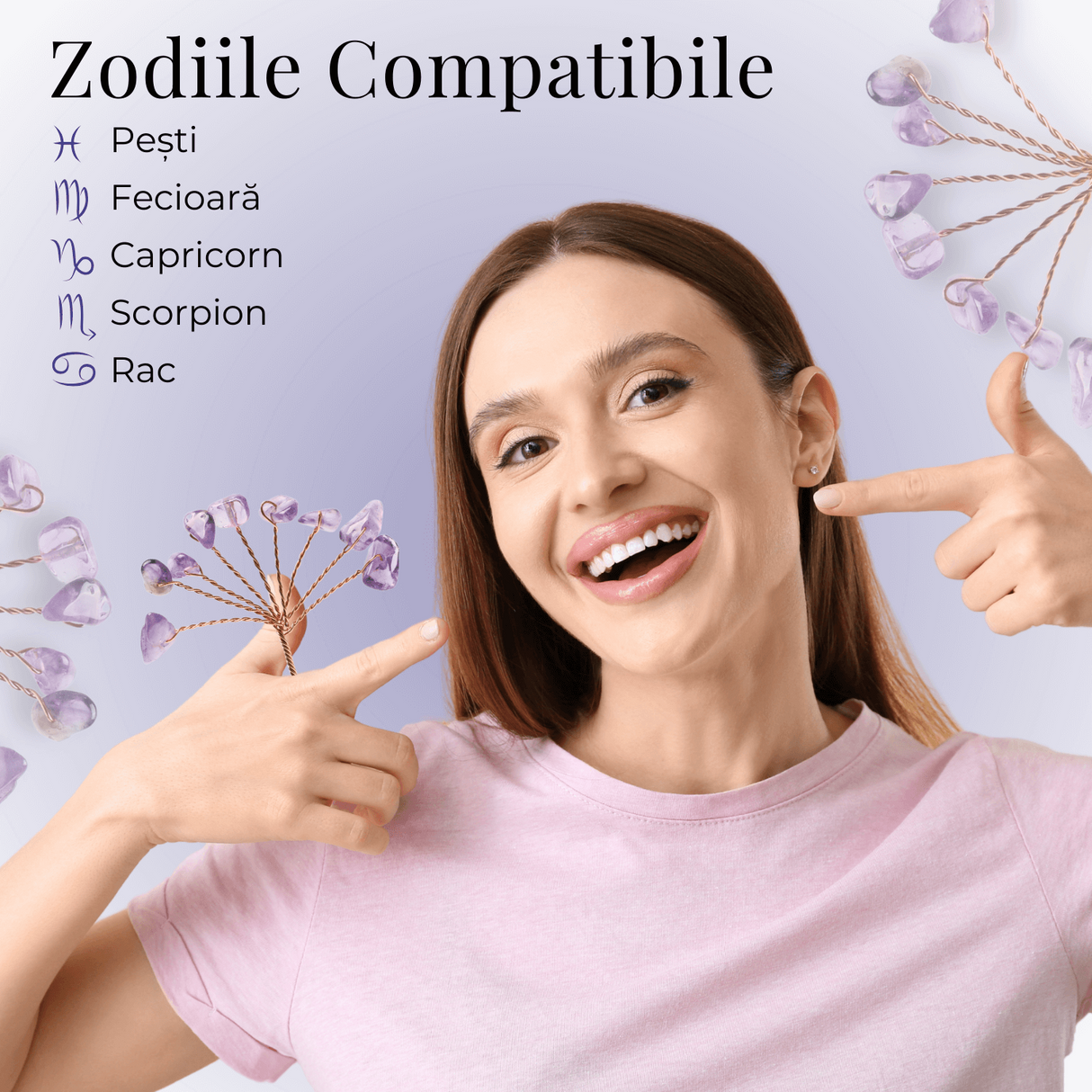 Ramurica DIY din Pietre Naturale Ametist (9 Pietricele)