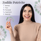 Ramurica Creativa DIY cu Pietre Naturale de Aventurin Verde (9 Pietricele)