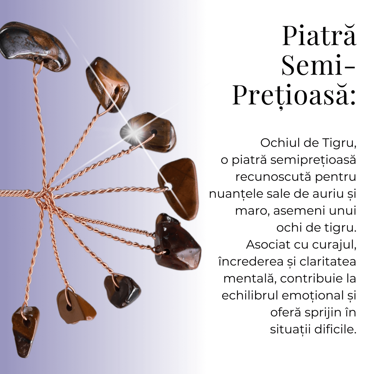 Ramurica Decorativa DIY cu Pietre Naturale Ochi de Tigru (9 Pietricele)
