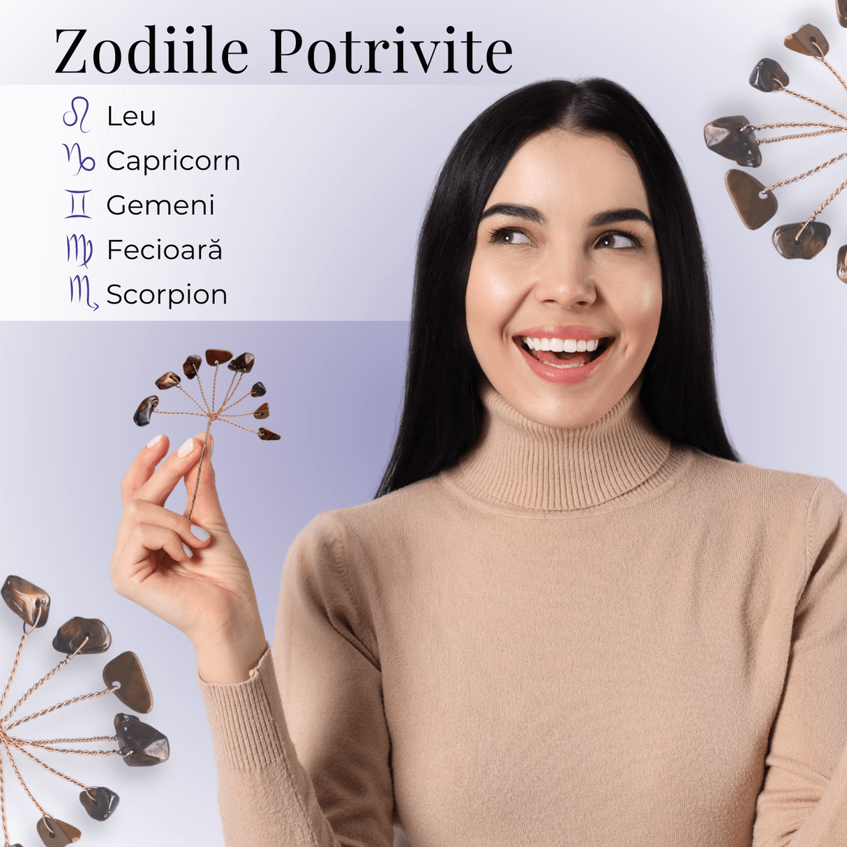 Ramurica Decorativa DIY cu Pietre Naturale Ochi de Tigru (9 Pietricele)