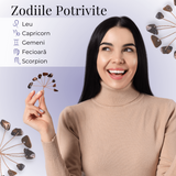 Ramurica Decorativa DIY cu Pietre Naturale Ochi de Tigru (9 Pietricele)
