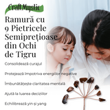Ramurica Decorativa DIY cu Pietre Naturale Ochi de Tigru (9 Pietricele)