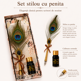 Set Stilou cu Penita si Pana in Cutie Cadou – Eleganta Vintage si Inspiratie Creativa