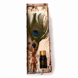 Set de caligrafie cu pană – CraftMystic