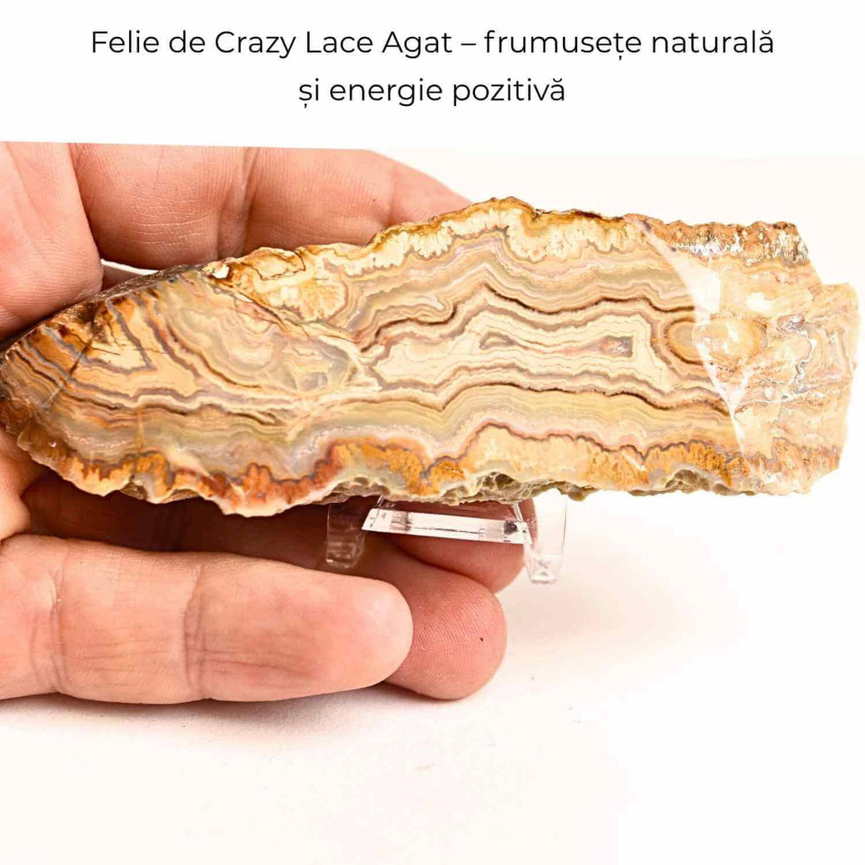 Felie 10-11 cm din Agat Crazy Lace - Sculptata manual, energie in forma pura