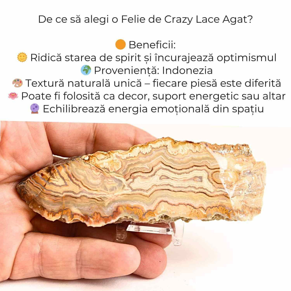 Felie 10-11 cm din Agat Crazy Lace - Sculptata manual, energie in forma pura