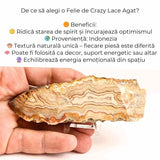 Felie 10-11 cm din Agat Crazy Lace - Sculptata manual, energie in forma pura