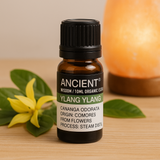 Ulei esential organic Ylang Ylang 10 ml (Cananga odorata) – floral senzual, pentru relaxare, difuzor & masaj (diluat)