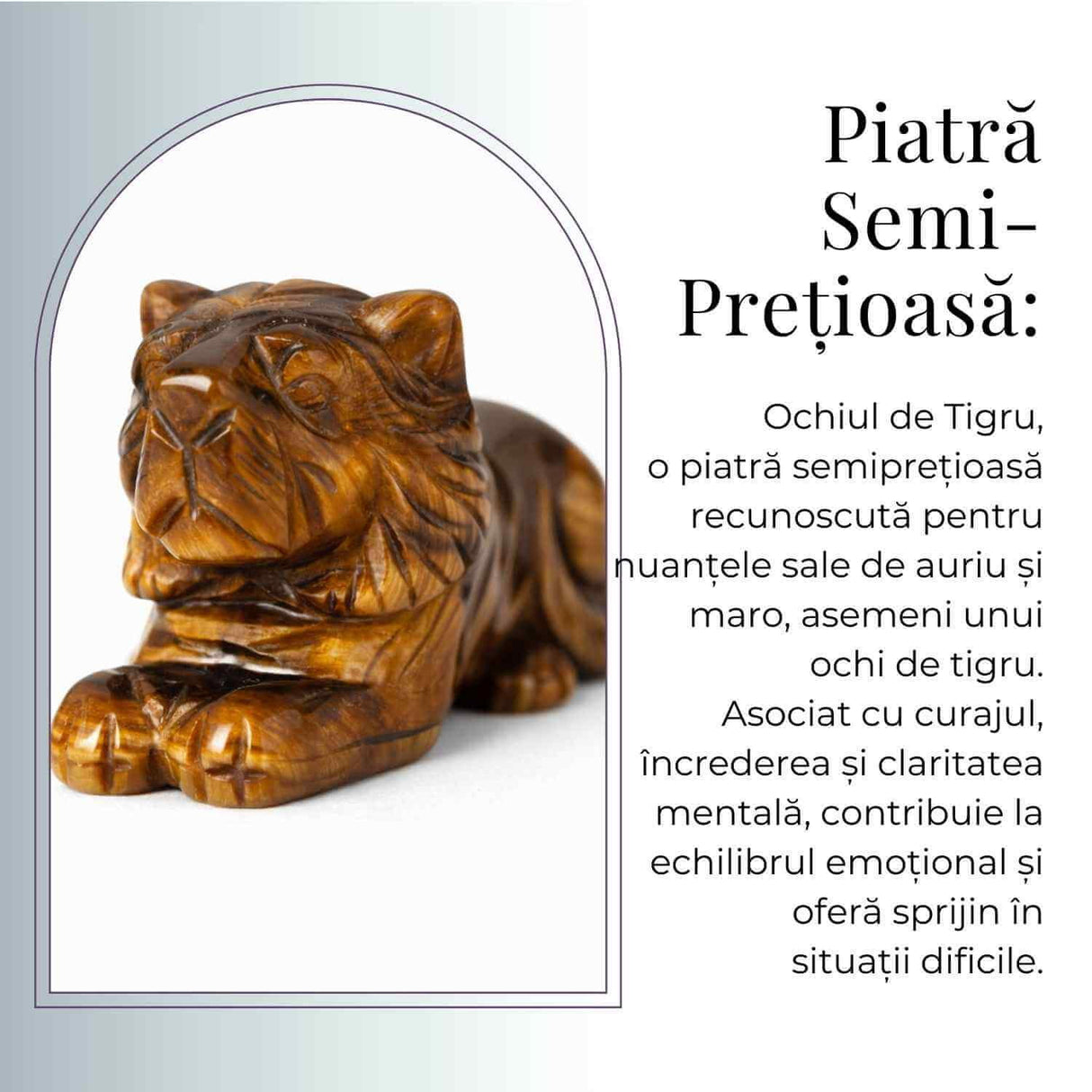 Leu Sacru din Ochi de Tigru - Putere Interioara si Protectie Energetica